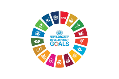 UN SDG wheel